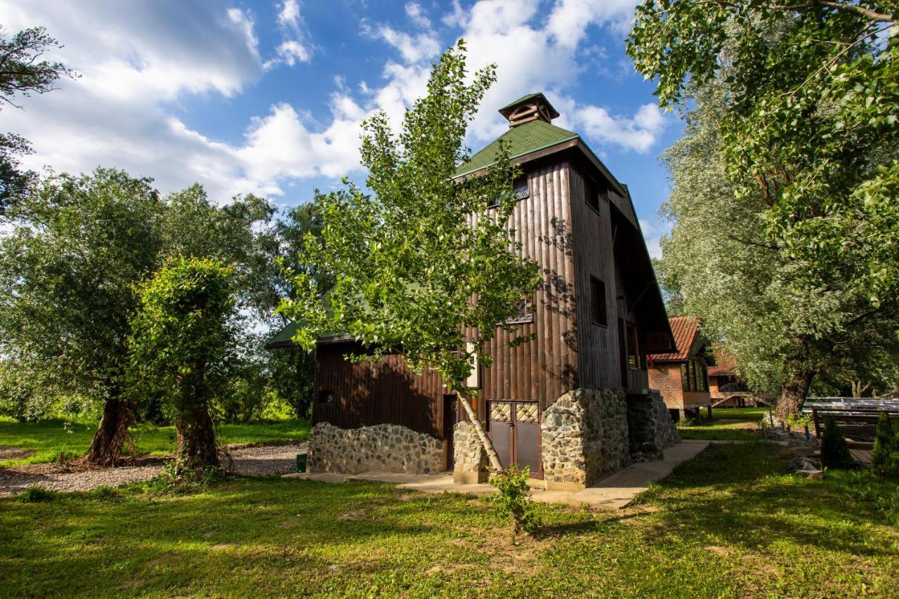 River House Vasa Belgrad Exterior foto